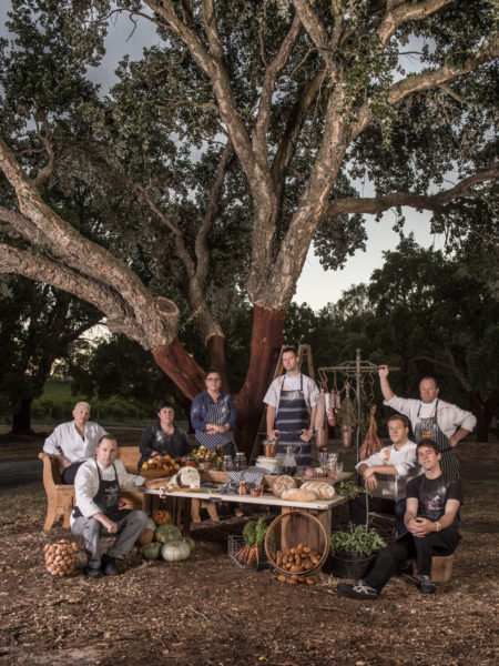 commercial photography group of chefs in the foreground of a classic european cork tree at st hugo's wines in the barossa valley